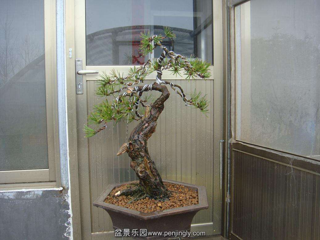 DSC07780.JPG