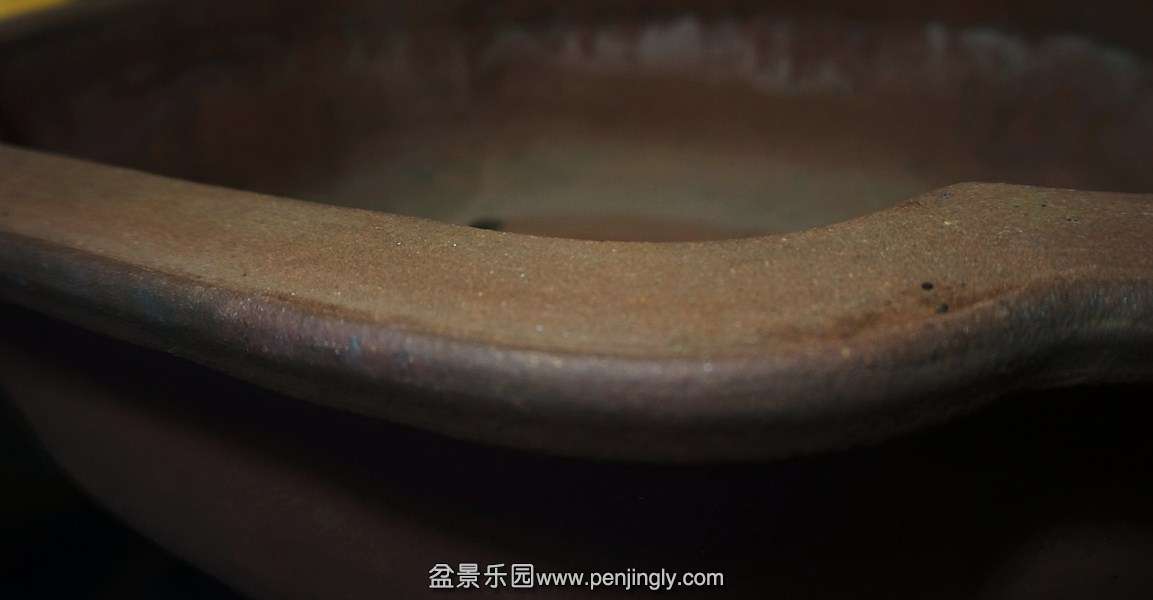 DSC01449.JPG
