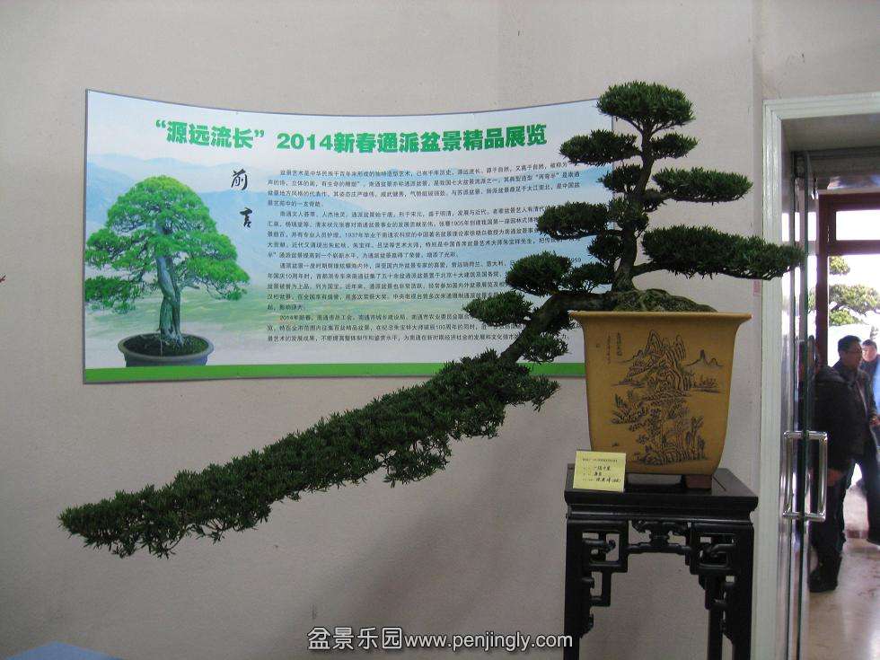 Ƭ 16614.jpg