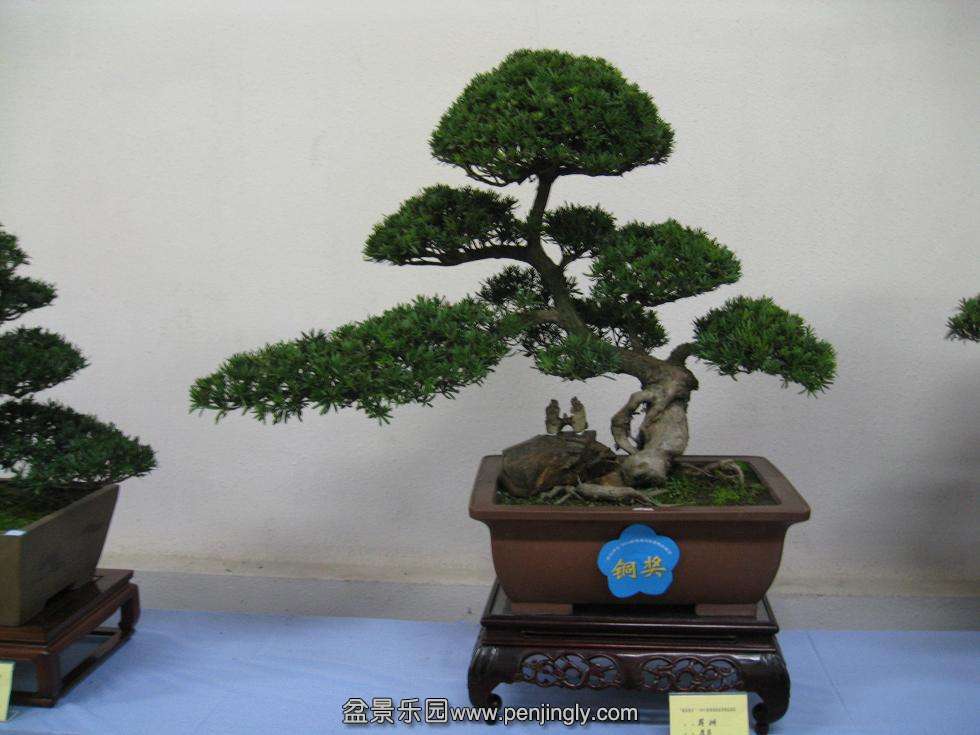 Ƭ 16616.jpg