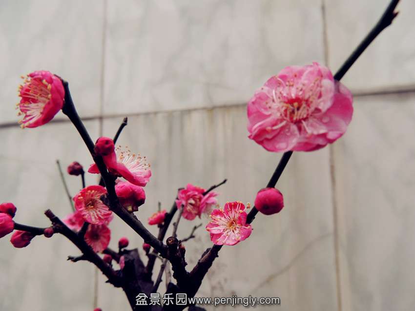 DSCN3743_.jpg