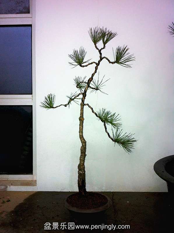 QQͼƬ20140218185814_.jpg