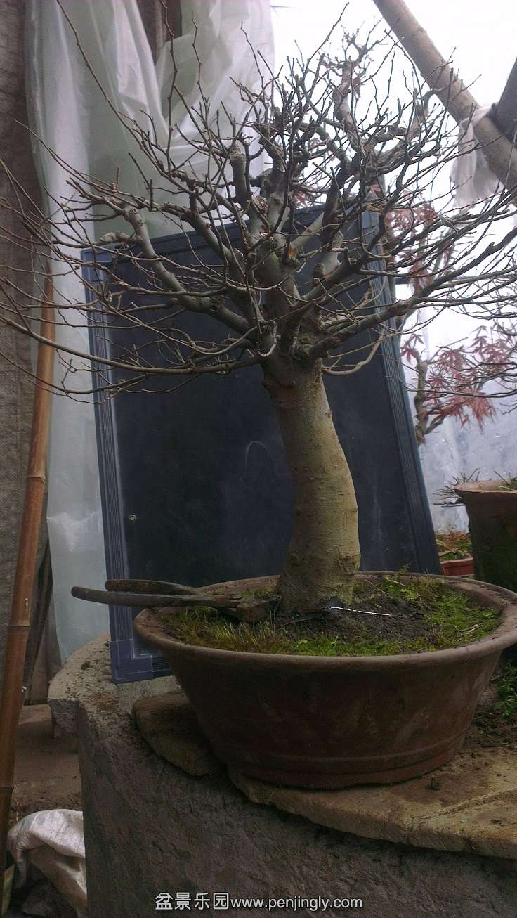 IMAG0013.jpg