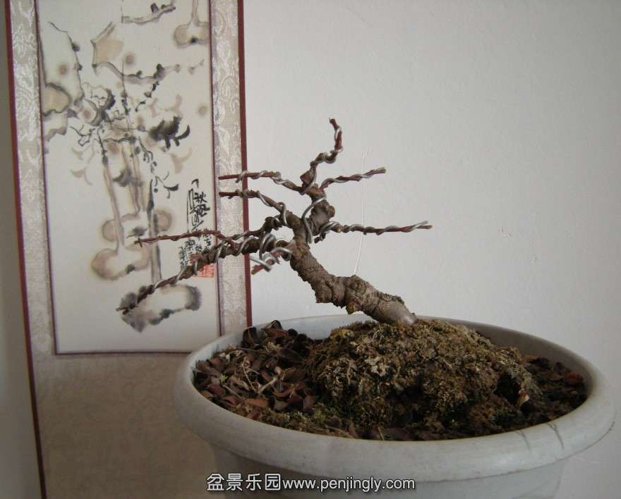 QQͼƬ20140219184032.jpg