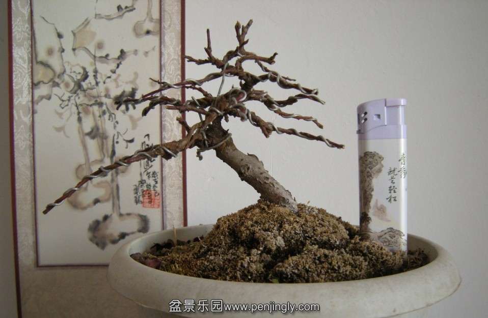 QQͼƬ20140219184043.jpg