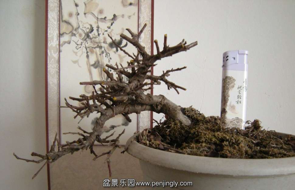 QQͼƬ20140219184054.jpg