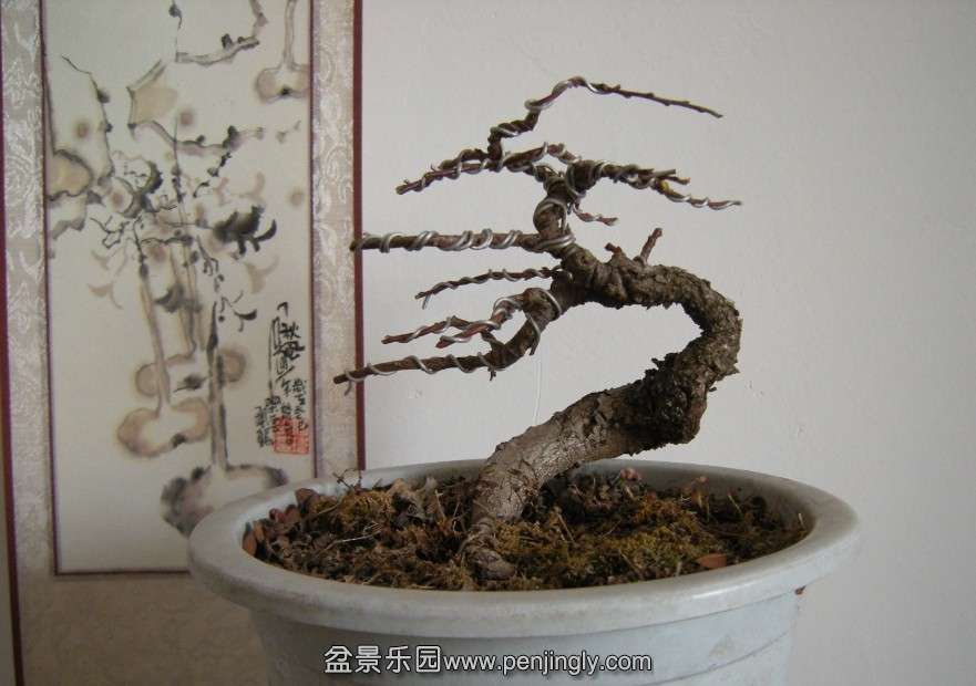 QQͼƬ20140219184104.jpg
