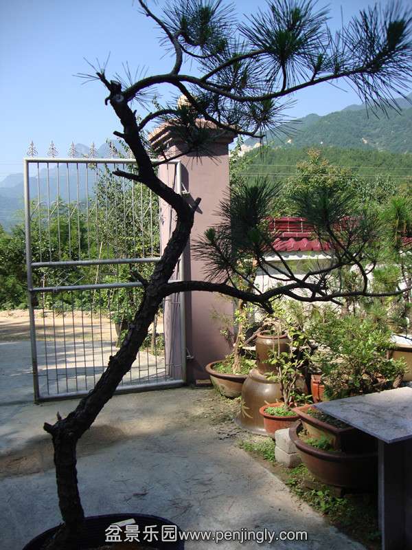 DSC01321_.jpg