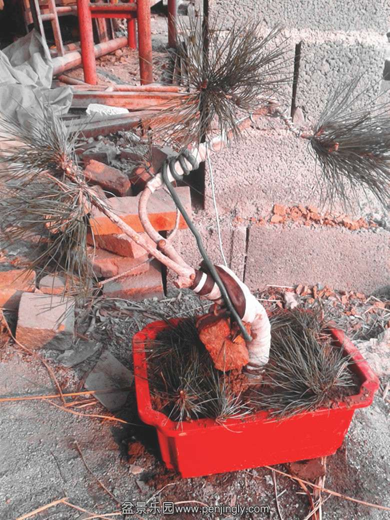20140220_155822_.jpg
