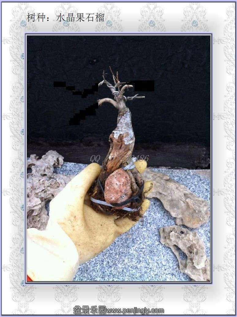 ˮʯ9.jpg