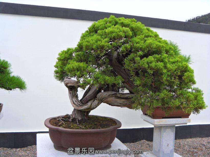 SDC12965.JPG
