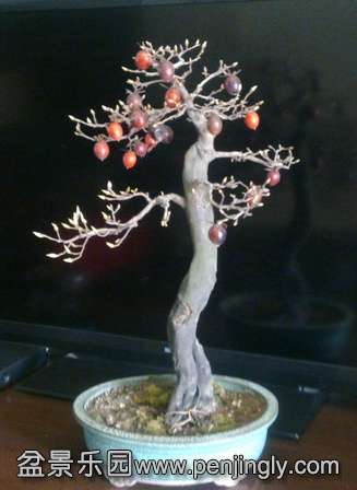 201402222153.jpg