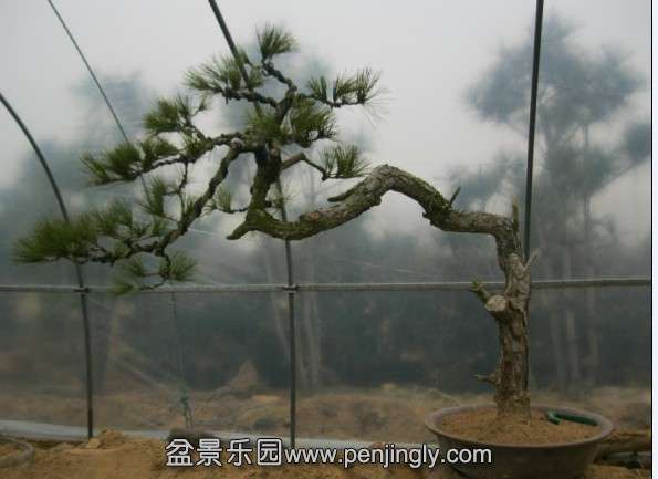 QQͼƬ20140222185350.jpg