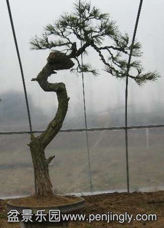 QQͼƬ20140222185846.jpg