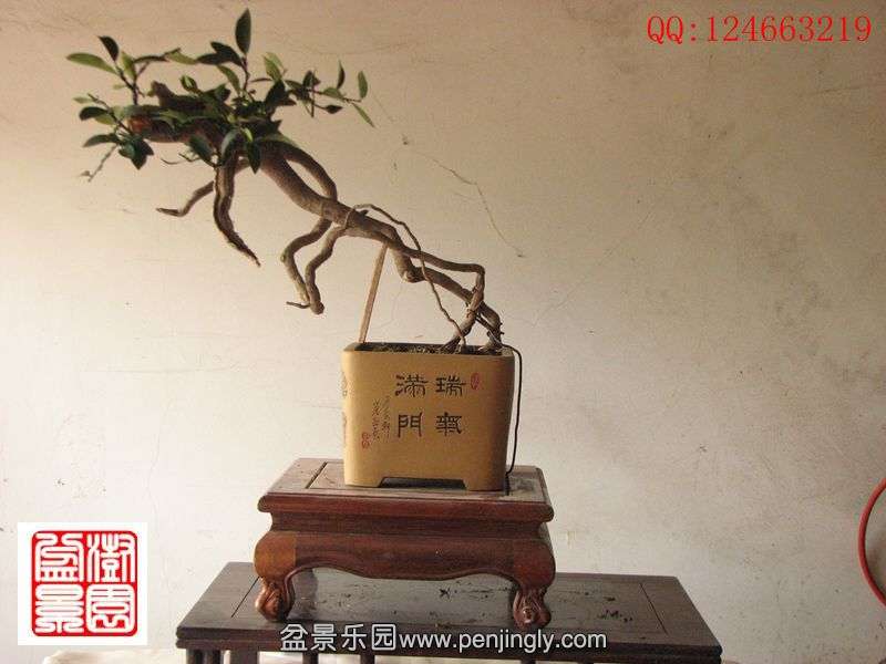 IMG_0661_副本.jpg
