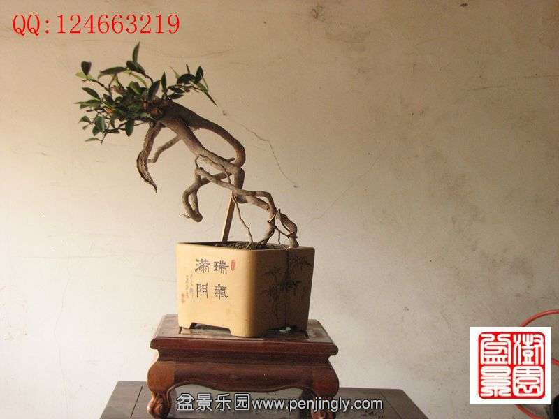 IMG_0666_副本.jpg