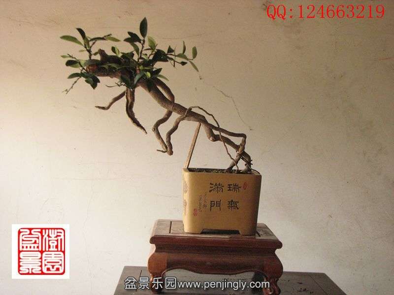 IMG_0667_副本.jpg