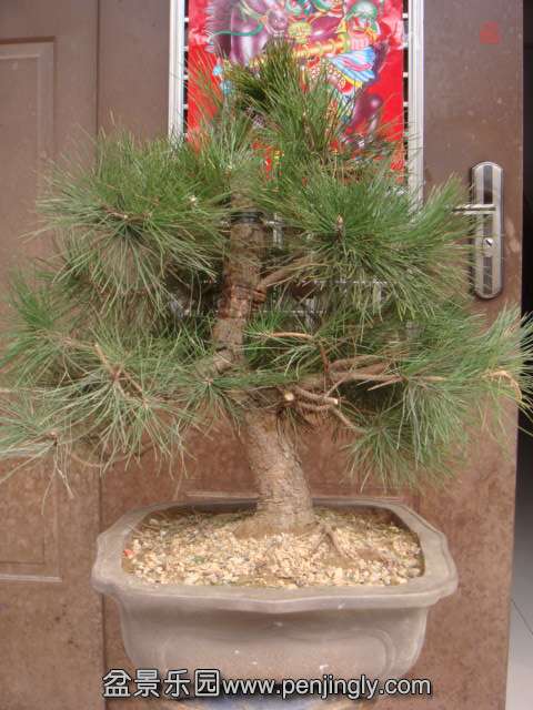 DSC09231.JPG