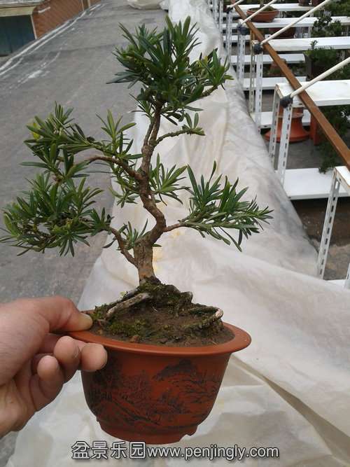 2014-02-24 14.45.17.jpg