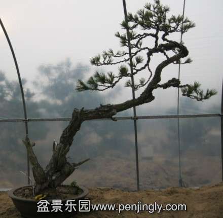 QQͼƬ20140224184233.jpg