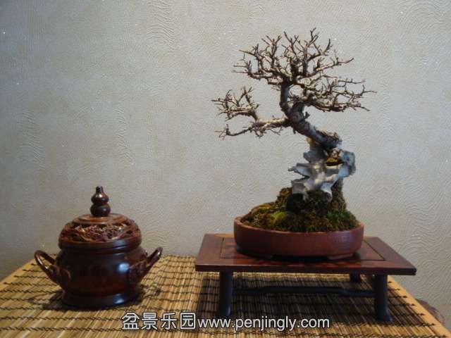 DSC07008.JPG