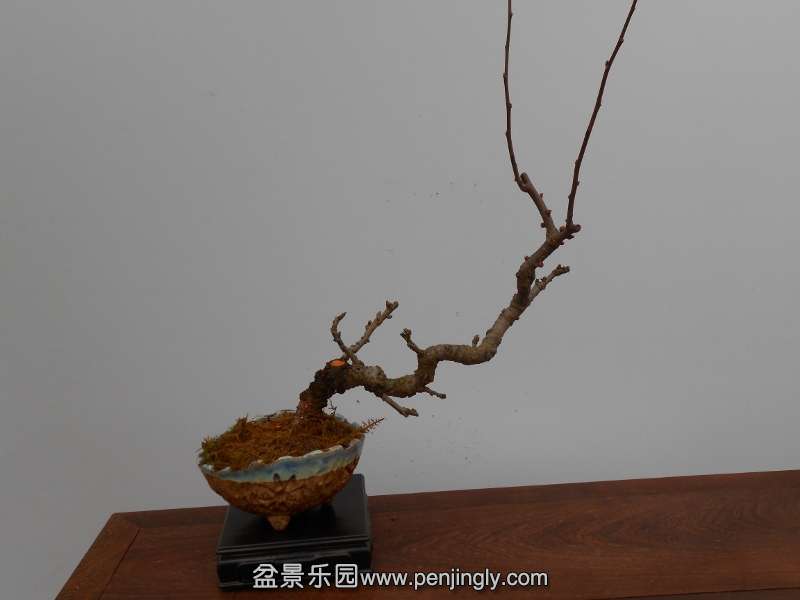 DSCN0728 (800x600).jpg