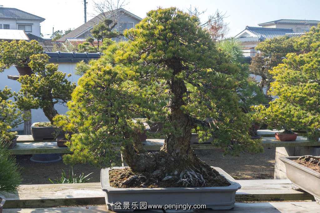 20140203-166-Japan-XL.jpg