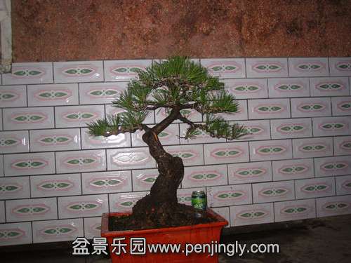 IMG_6862_.jpg