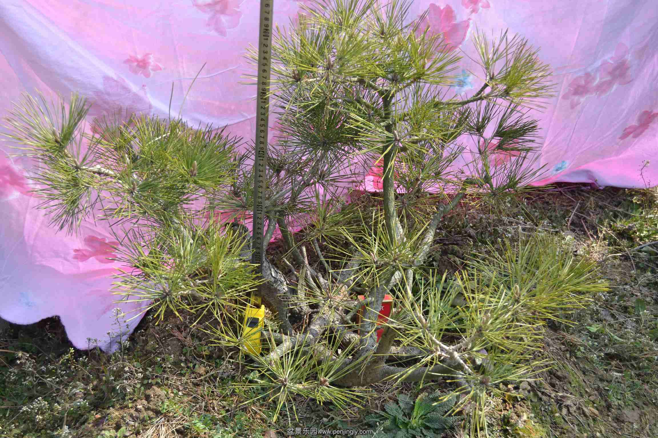 2014-02-20Ժ 013.jpg