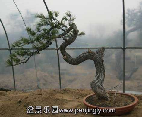 QQͼƬ20140225182829.jpg