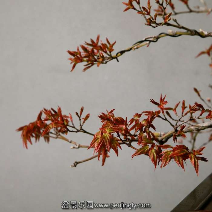 IMG_5680.JPG