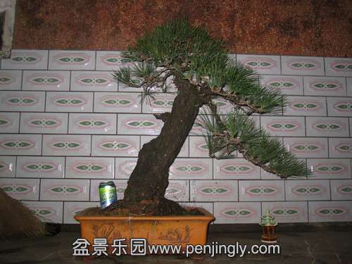 IMG_6901_.jpg
