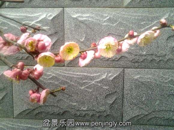 20140227_130719.jpg
