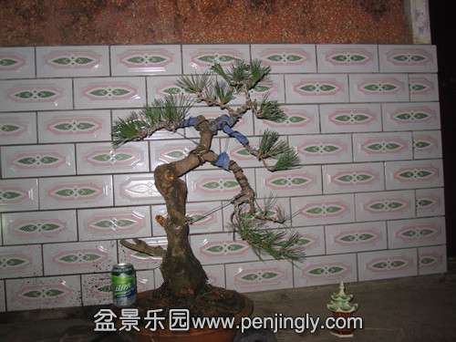 IMG_6914_.jpg
