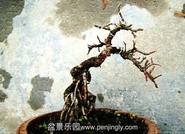 QQͼƬ20140228192615.jpg
