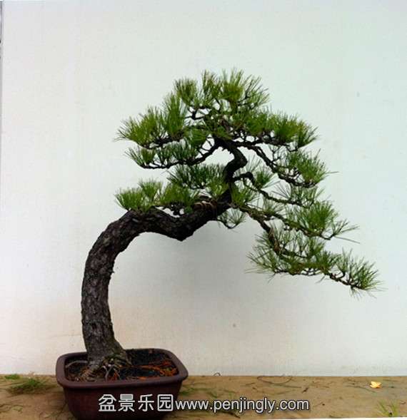 QQͼƬ20140228200400_.jpg
