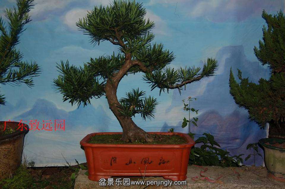 174958ex8gz89j9cxg0c9g_jpg_thumb.jpg