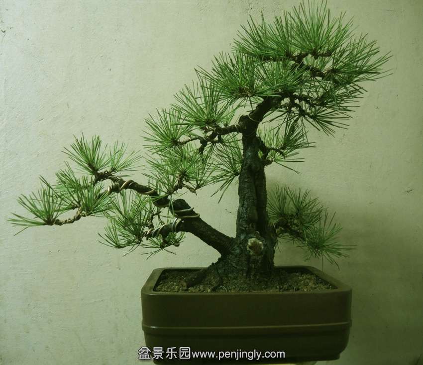 DSCN1408.jpg
