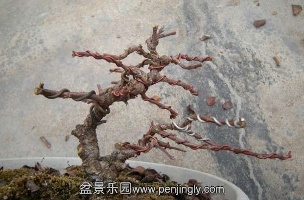 QQͼƬ20140301195615.jpg