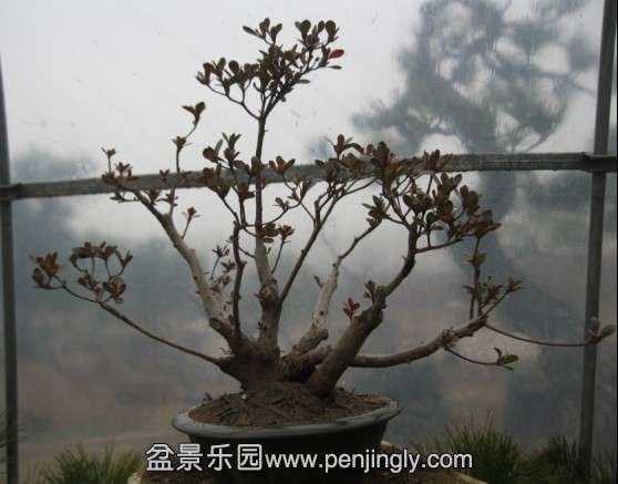 QQͼƬ20140302072614.jpg