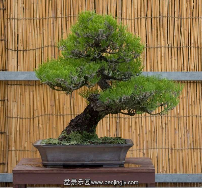 conew_ncs53-1024x957.jpg