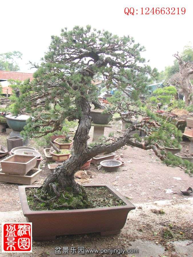 IMG_0777_.jpg