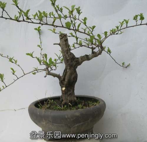 201403022187.jpg