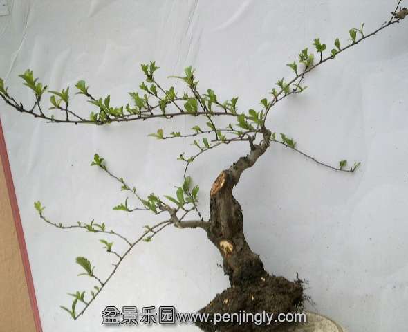 201403022189.jpg