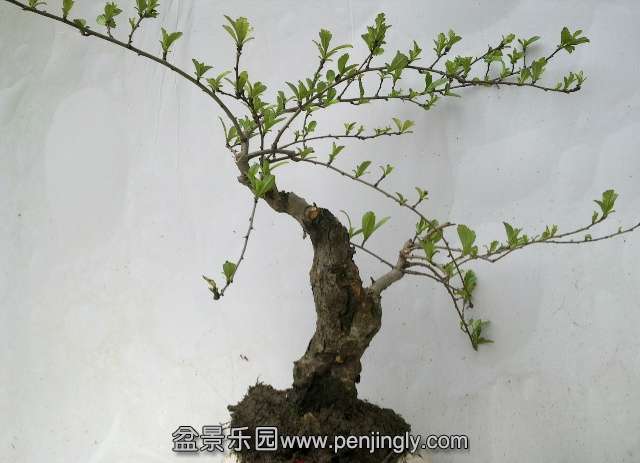 201403022190.jpg
