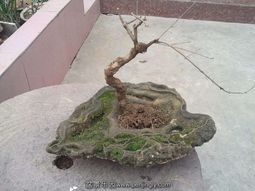 SNC03031.jpg