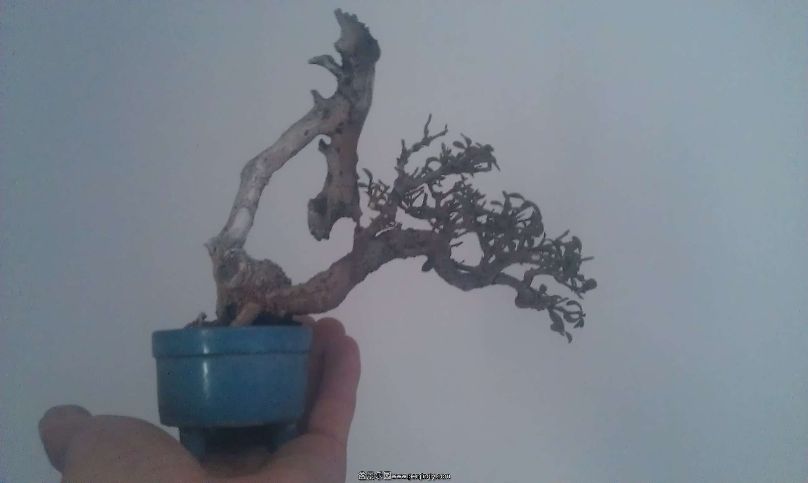 IMAG1044.jpg