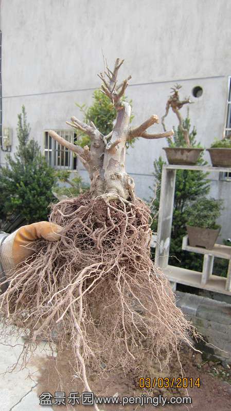 IMG_4584.JPG