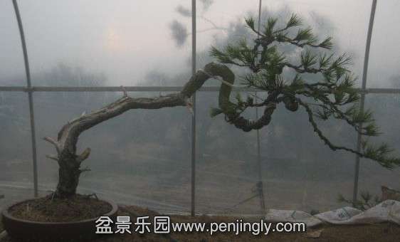 QQͼƬ20140303193211.jpg
