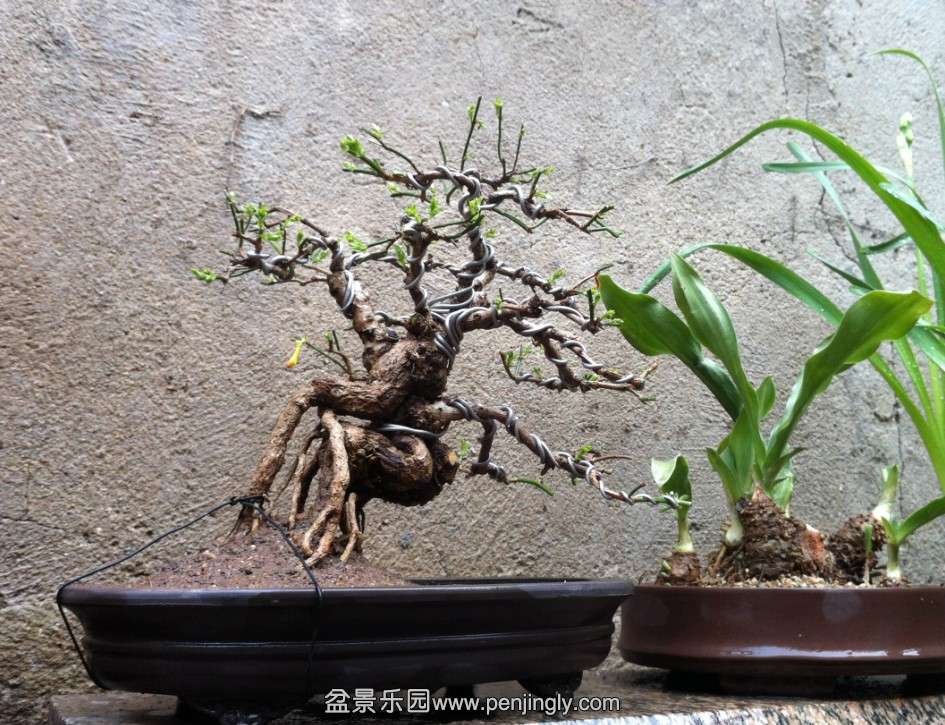 QQͼ20140303191615.jpg